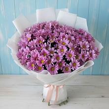 Букет сиреневая охапка в Дербенте Букет цветов из:  Хризантемы в Дербенте
